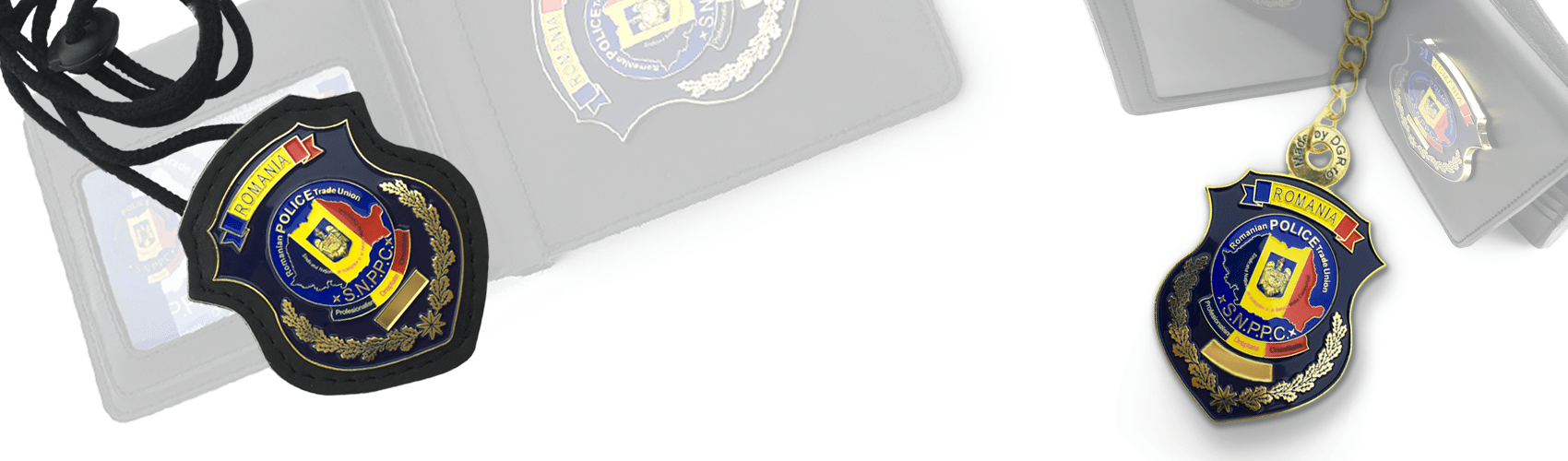Banner SNPPC DGR