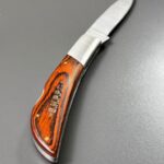 Briceag Survivor SNPPC
